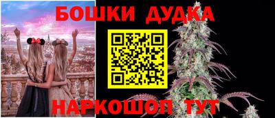 гидра Можайск
