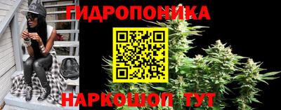 гашик Наро-Фоминск
